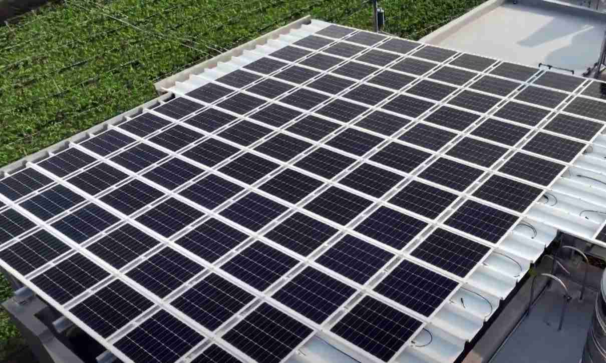 z6mg·人生就是博SunSteel光电浪板升级双玻结构，，，以提升机械负载强度及气候耐候度，，，，可广泛运用于多元场域