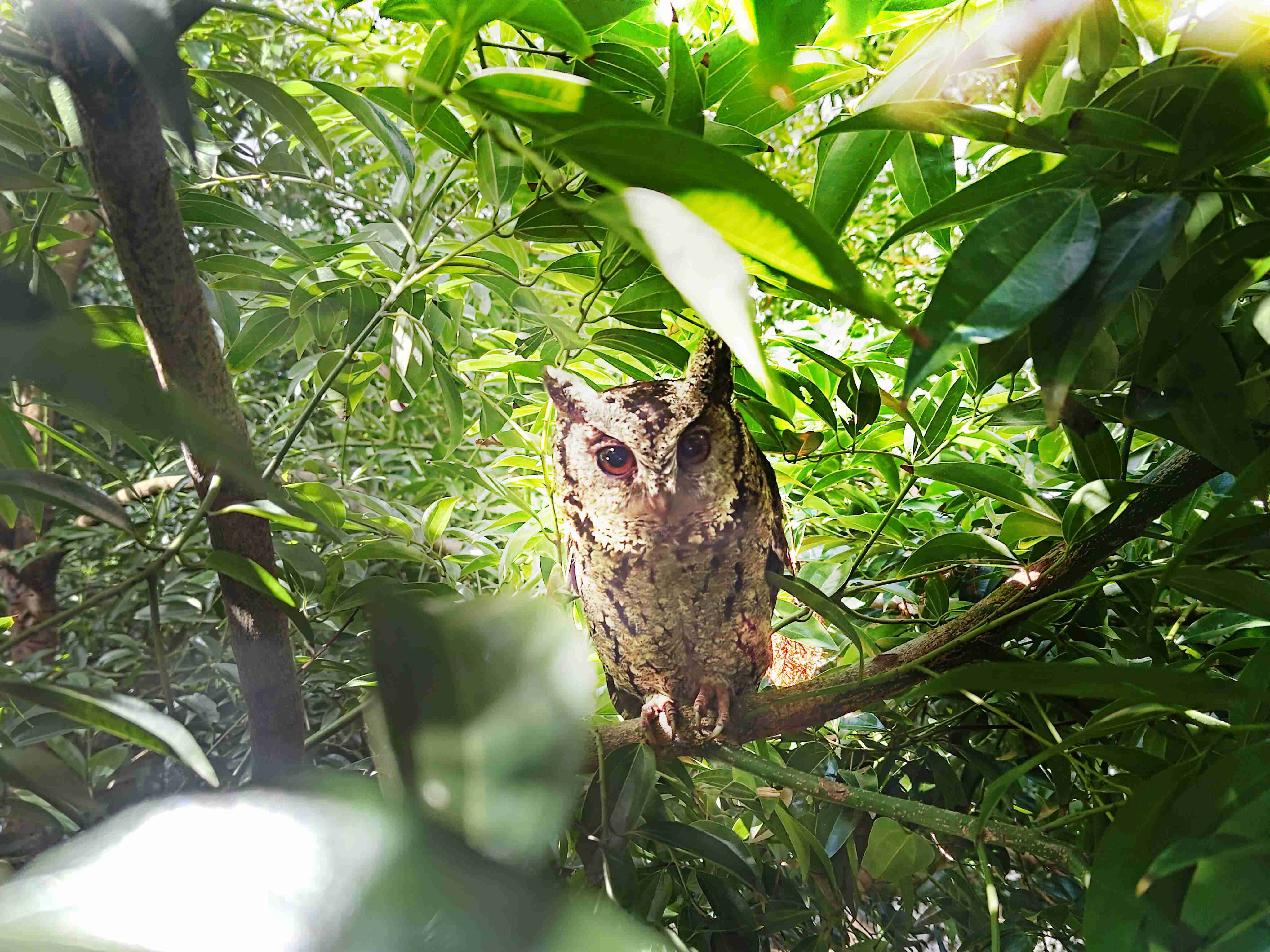 z6mg·人生就是博致力提倡净零绿生活，，，16年以来在全球各厂区植树逾百万棵，，，，造就各厂区树木蔚然成林，，，犹如森林工厂，，，成为许多生物的栖息地